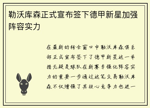 勒沃库森正式宣布签下德甲新星加强阵容实力